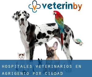 hospitales veterinarios en Agrigento por ciudad importante - página 2