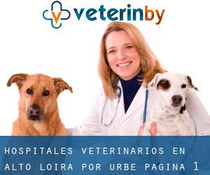 hospitales veterinarios en Alto Loira por urbe - página 1