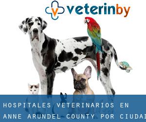 hospitales veterinarios en Anne Arundel County por ciudad importante - página 23