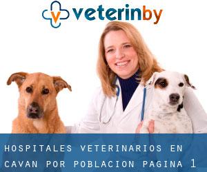 hospitales veterinarios en Cavan por población - página 1