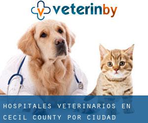 hospitales veterinarios en Cecil County por ciudad importante - página 2