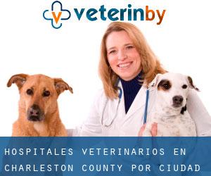 hospitales veterinarios en Charleston County por ciudad importante - página 1