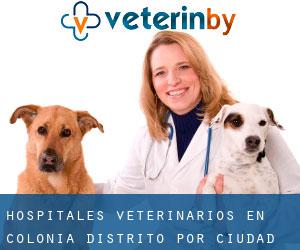 hospitales veterinarios en Colonia Distrito por ciudad importante - página 3