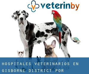 hospitales veterinarios en Gisborne District por municipalidad - página 1