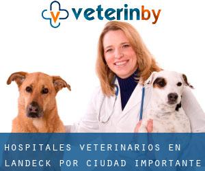 hospitales veterinarios en Landeck por ciudad importante - página 1
