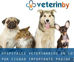 hospitales veterinarios en Lot por ciudad importante - página 2