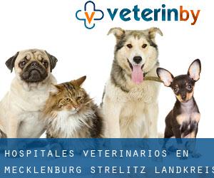 hospitales veterinarios en Mecklenburg-Strelitz Landkreis por ciudad principal - página 2