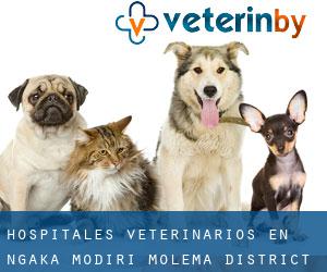 hospitales veterinarios en Ngaka Modiri Molema District Municipality por ciudad importante - página 1
