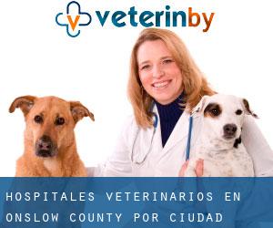 hospitales veterinarios en Onslow County por ciudad principal - página 1