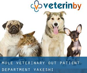 Mule Veterinary Out-patient Department (Yakeshi)