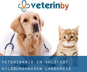 veterinario en Ahlstädt (Hildburghausen Landkreis, Turingia)