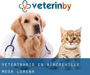 veterinario en Aincreville (Mosa, Lorena)