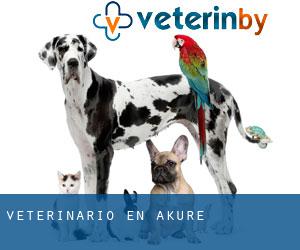 veterinario en Akure