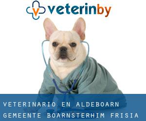 veterinario en Aldeboarn (Gemeente Boarnsterhim, Frisia)