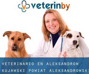veterinario en Aleksandrów Kujawski (Powiat aleksandrowski, Voivodato de Cuyavia y Pomerania)