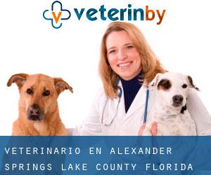 veterinario en Alexander Springs (Lake County, Florida)