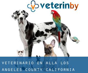veterinario en Alla (Los Angeles County, California)
