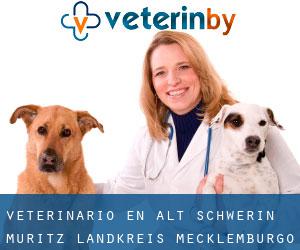 veterinario en Alt Schwerin (Müritz Landkreis, Mecklemburgo-Pomerania Occidental)