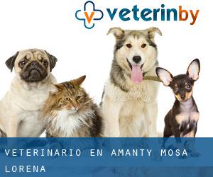 veterinario en Amanty (Mosa, Lorena)