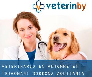 veterinario en Antonne-et-Trigonant (Dordoña, Aquitania)