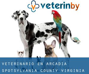 veterinario en Arcadia (Spotsylvania County, Virginia)