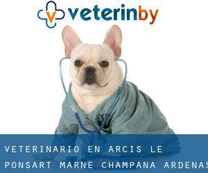 veterinario en Arcis-le-Ponsart (Marne, Champaña-Ardenas)