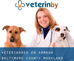 veterinario en Armagh (Baltimore County, Maryland)