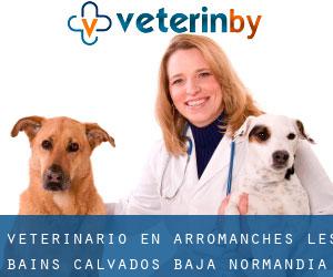 veterinario en Arromanches-les-Bains (Calvados, Baja Normandía)