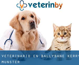 veterinario en Ballybane (Kerry, Munster)