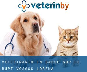 veterinario en Basse-sur-le-Rupt (Vosgos, Lorena)