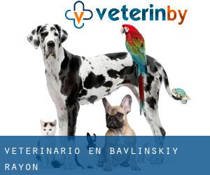 veterinario en Bavlinskiy Rayon