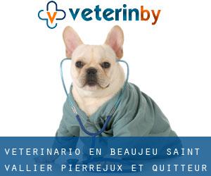 veterinario en Beaujeu-Saint-Vallier-Pierrejux-et-Quitteur (Alto Saona, Franco Condado)