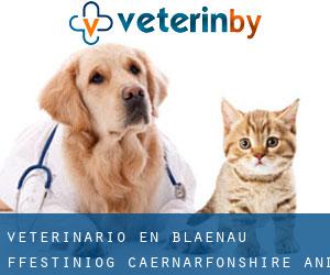 veterinario en Blaenau-Ffestiniog (Caernarfonshire and Merionethshire, Gales)