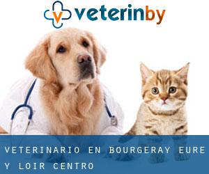 veterinario en Bourgeray (Eure y Loir, Centro)