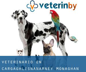 veterinario en Cargaghlisnanarney (Monaghan Condado, Úlster)