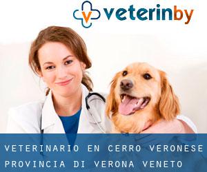 veterinario en Cerro Veronese (Provincia di Verona, Véneto)