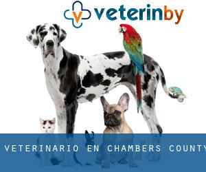 veterinario en Chambers County