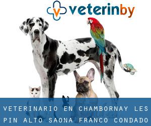 veterinario en Chambornay-lès-Pin (Alto Saona, Franco Condado)
