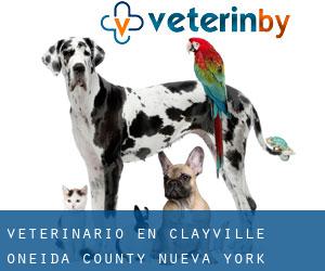 veterinario en Clayville (Oneida County, Nueva York)