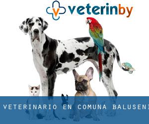 veterinario en Comuna Băluşeni
