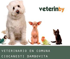 veterinario en Comuna Ciocăneşti (Dâmboviţa)