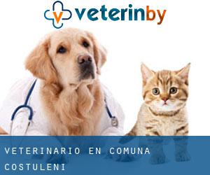 veterinario en Comuna Costuleni
