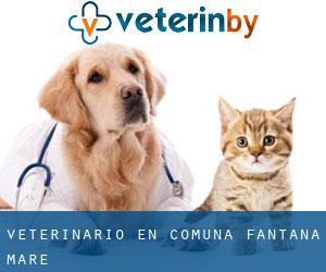 veterinario en Comuna Fântâna Mare