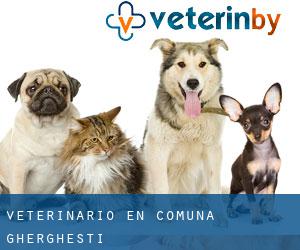 veterinario en Comuna Ghergheşti