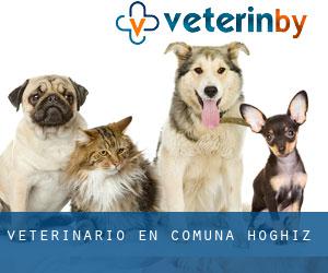 veterinario en Comuna Hoghiz