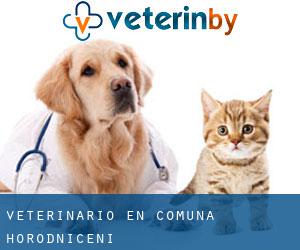 veterinario en Comuna Horodniceni