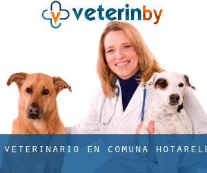 veterinario en Comuna Hotarele