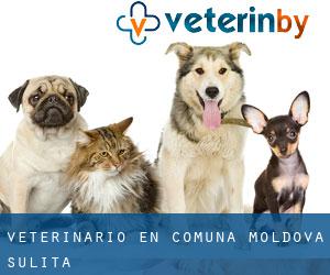 veterinario en Comuna Moldova Suliţa