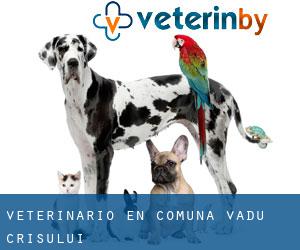 veterinario en Comuna Vadu Crişului