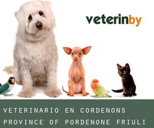 veterinario en Cordenons (Province of Pordenone, Friuli-Venecia Julia)